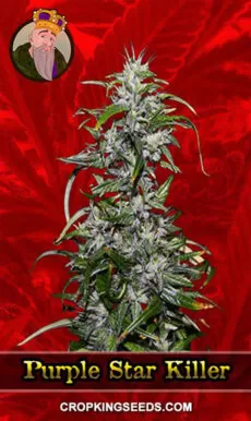 Purple Star Killer Strain