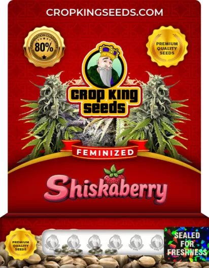 Shiskaberry Strain