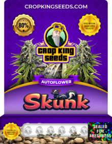 Skunk Strain