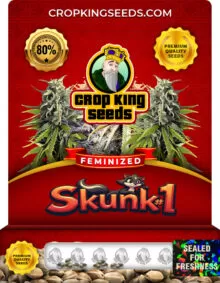 Skunk#1 Strain
