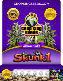 ​​Skunk #1 Autoflower Marijuana Seeds