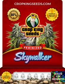 Skywalker Strain