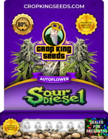 Sour Diesel Autoflower Marijuana Seeds