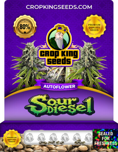 Sour Diesel Strain