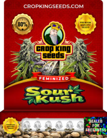 Sour Kush