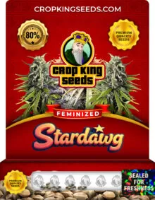Stardawg Strain