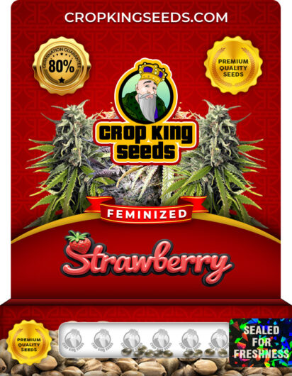 Strawberry Strain