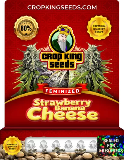 Strawberry Banana Cheese Strain