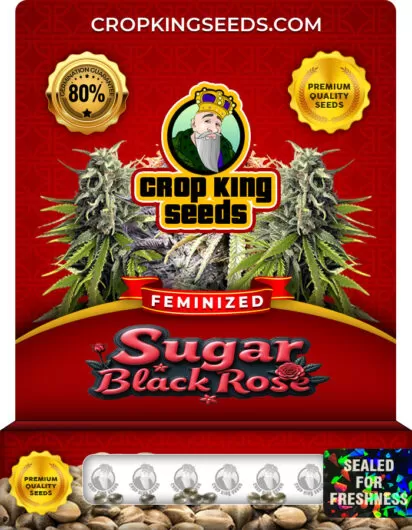 Sugar Black Rose Strain
