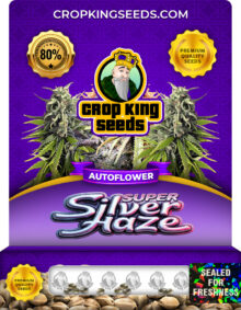 Super Silver Haze