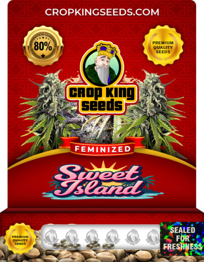 Sweet Island Strain