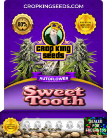 Sweet Tooth Strain