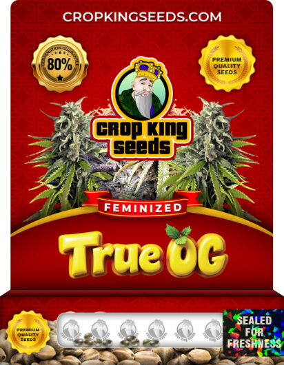 True OG Strain