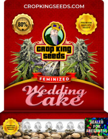 Wedding Cake Strain