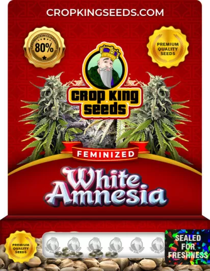White Amnesia Strain