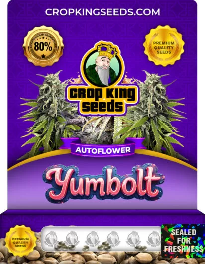Yumbolt Strain