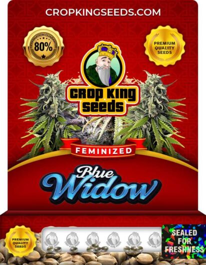 Blue Widow Strain