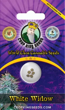 White Widow Strain
