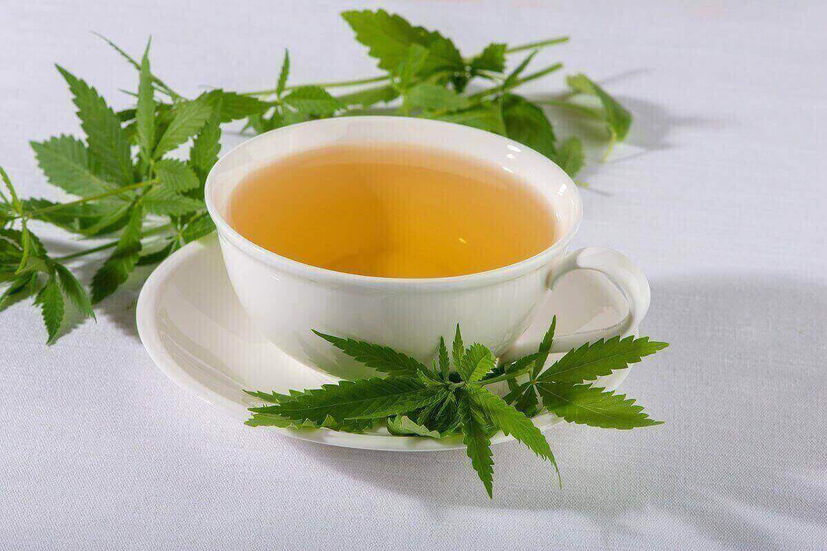 Weed stem tea