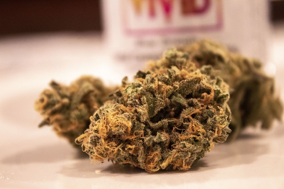 Zoloft and Marijuana What Happens When You Mix Them