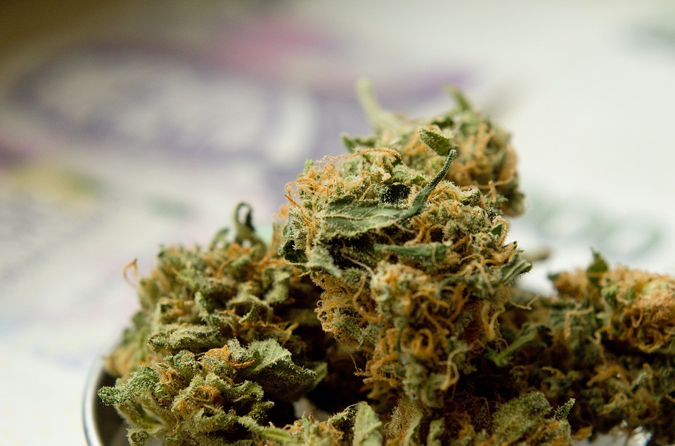 everything-you-need-to-know-about-weed-expiration