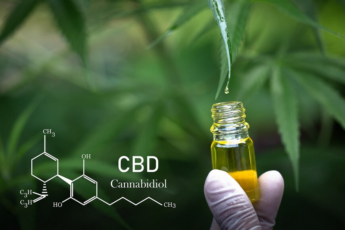 CBD Facts for Users