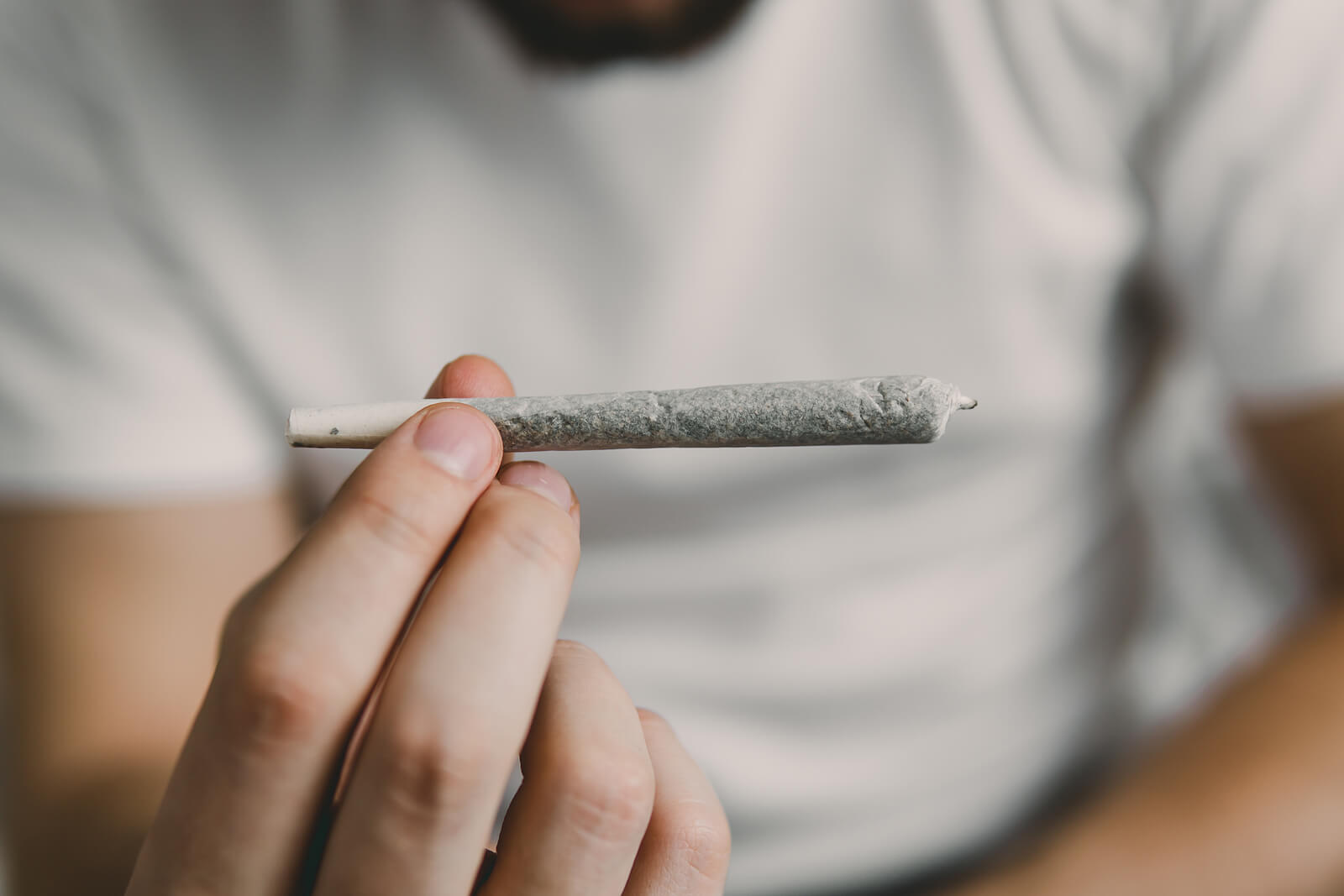 Everything you Need to Know about Marijuana Joint