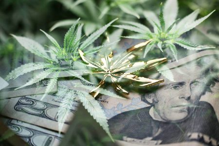 How Cannabis Can Make You Rich