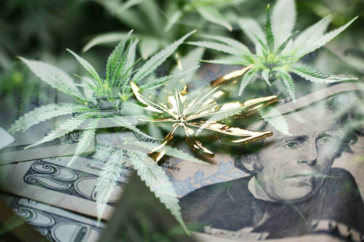 How Cannabis Can Make You Rich