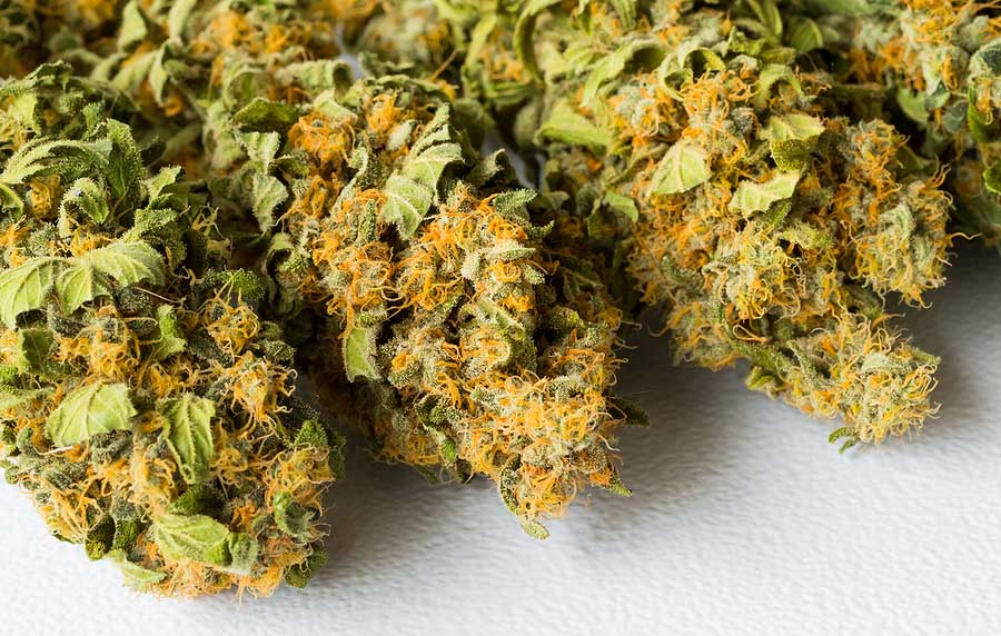 Best Indica Strain for Sleep