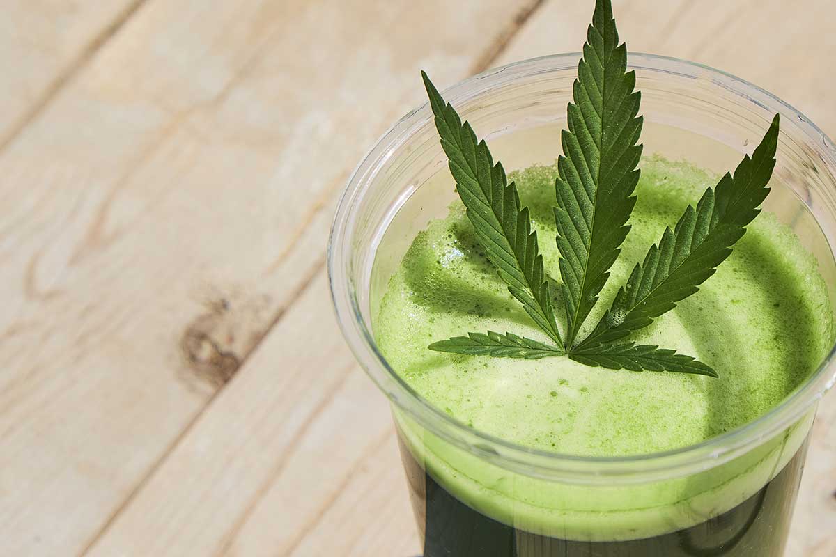 What you Need to Know About Marijuana Shake