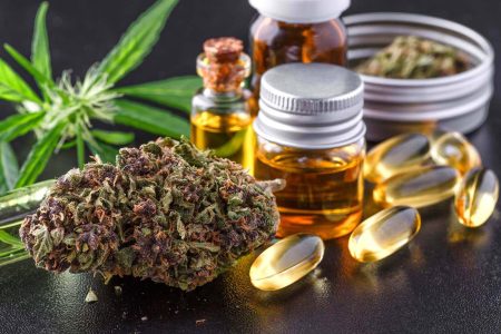 Medical Marijuana and Epilepsy