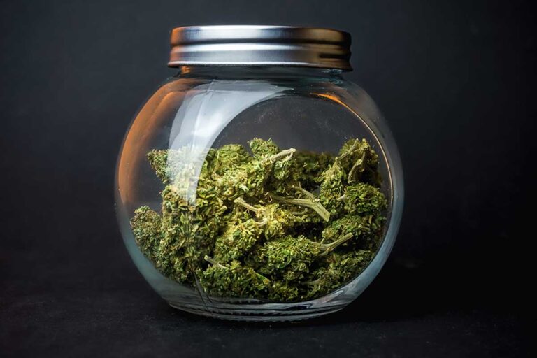 Does Weed Go Bad and How to Store Them