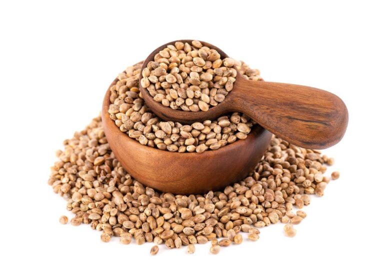 The Danger of Forced Feminized Marijuana Seeds