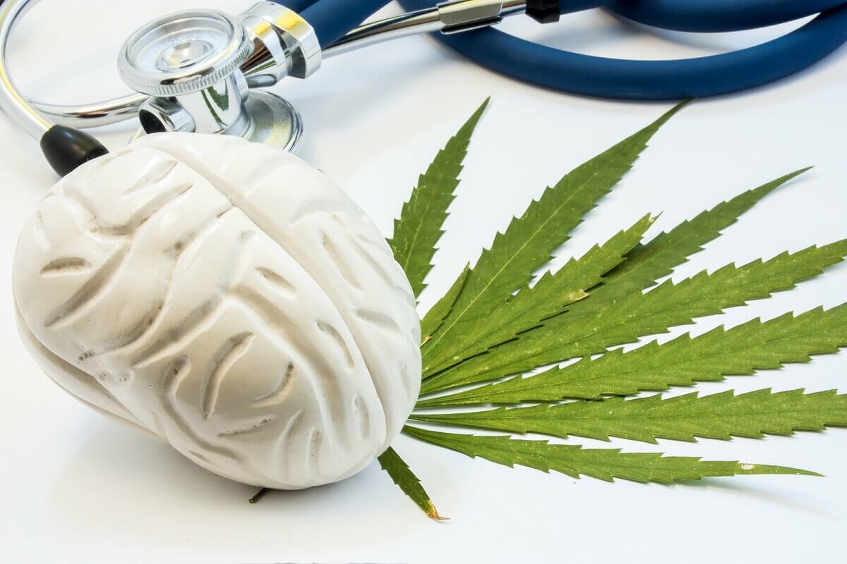 CBD to Your Brain