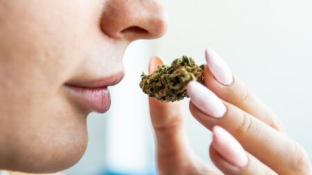 Finest Most Pungent Weed Strains