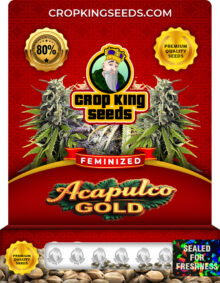 Acapulco Gold Strain