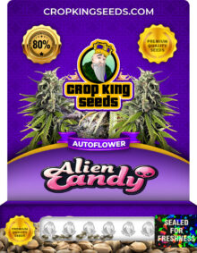 Alien Candy Strain