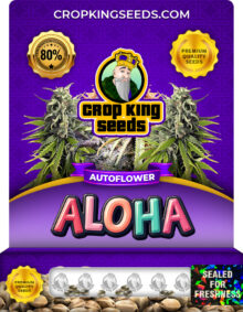 Aloha Autoflowering Marijuana Seeds