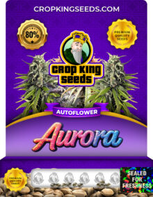 Aurora Strain