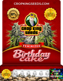 Birthday Cake Strain