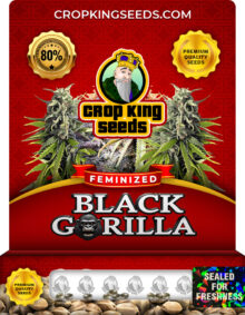 Black Gorilla Strain