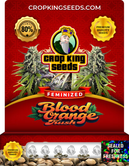 Blood Orange Kush