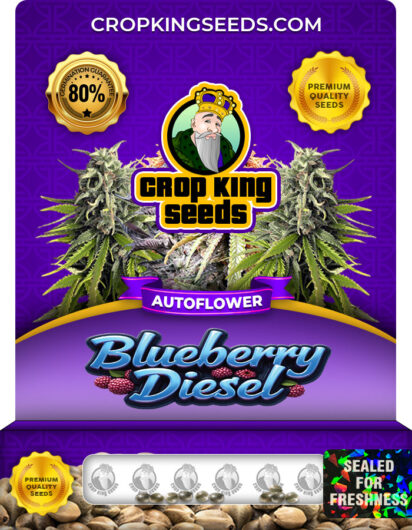 Blueberry Diesel Strain