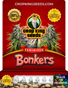 Bonkers Strain