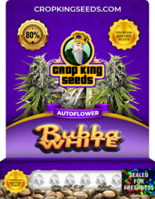 Bubba White Strain