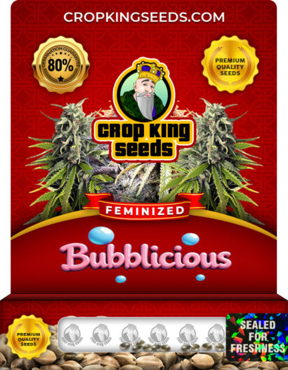 Bubblicious Strain
