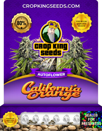 California Orange Strain