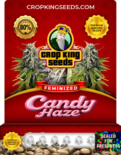 Candy Haze