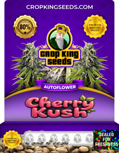 Cherry Kush
